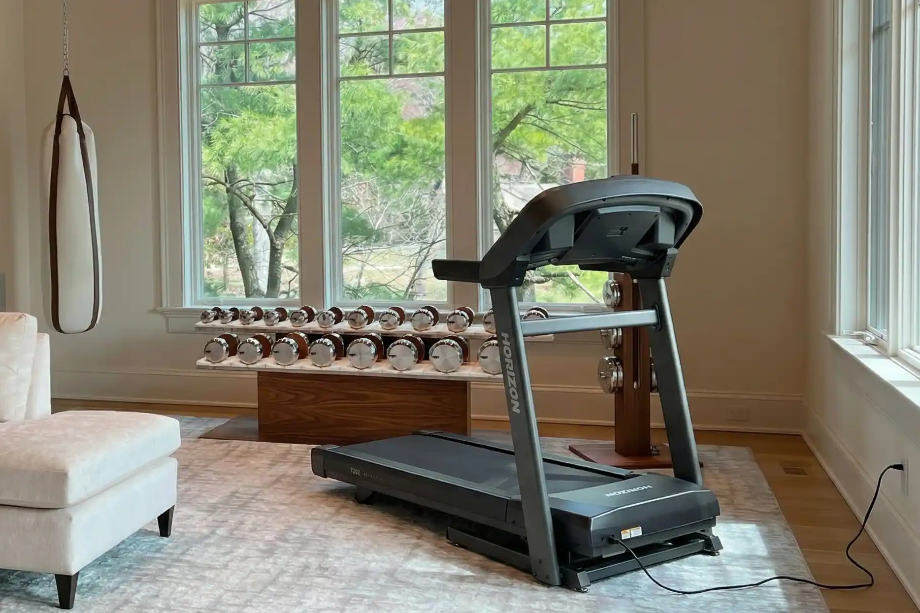 Horizon T202 treadmill displayed in a bright home gym with large windows, wooden floors, and chrome dumbbells on a shelf