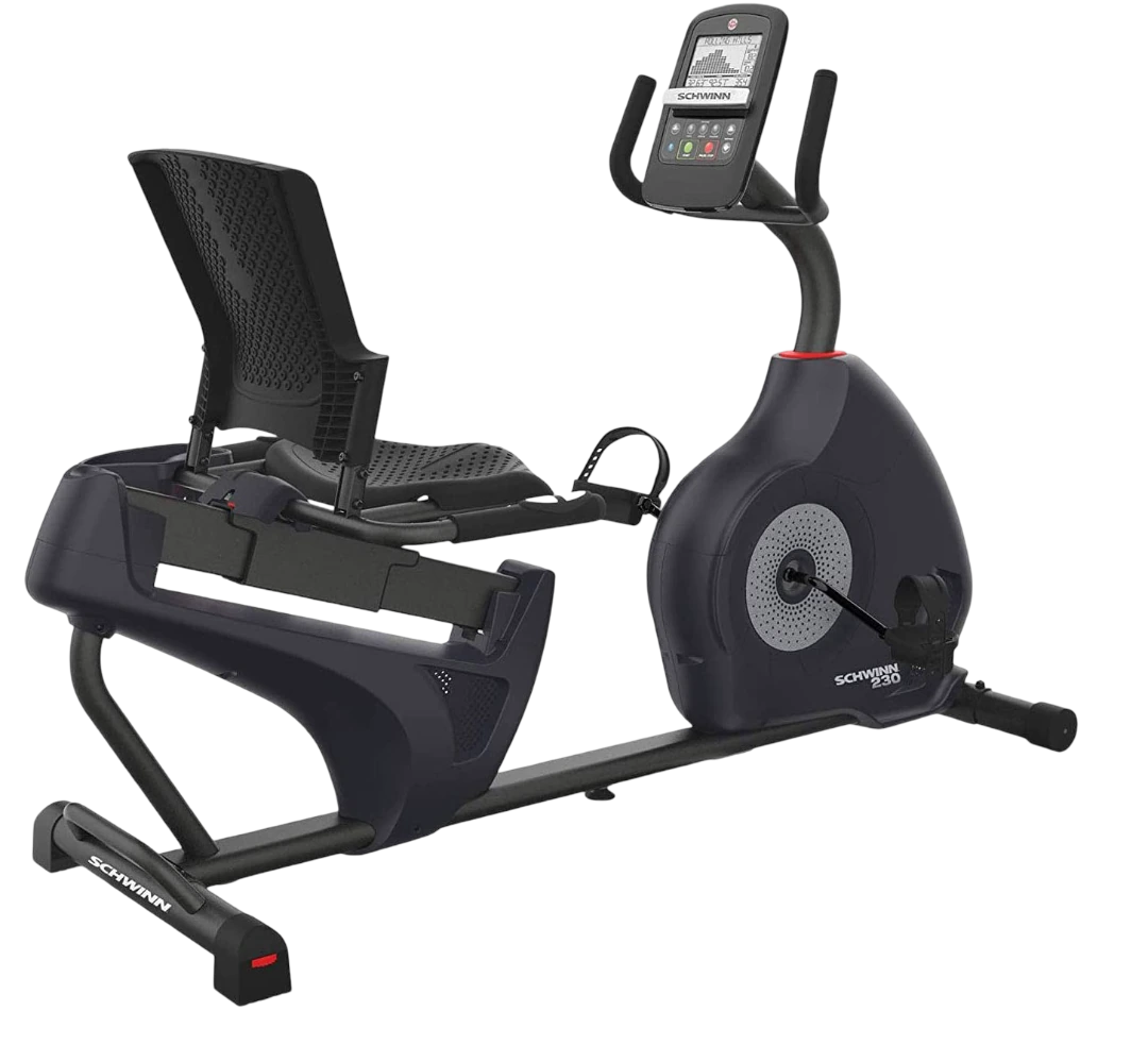 Schwinn 230 Stock Image