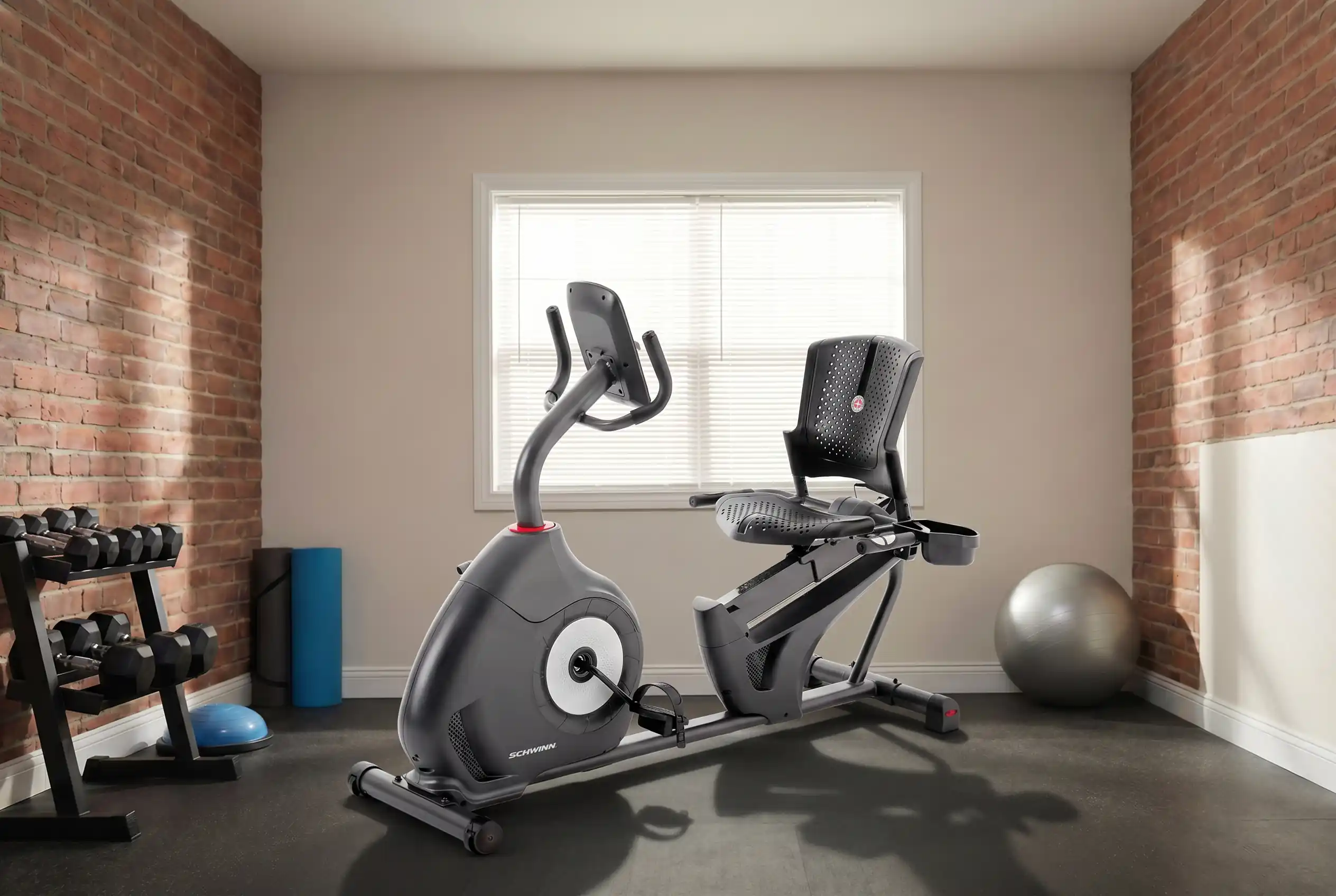 Schwinn recumbent exercise bike with perforated seat and backrest in a home gym with exposed brick walls, dumbbells rack and exercise ball visible in the background
