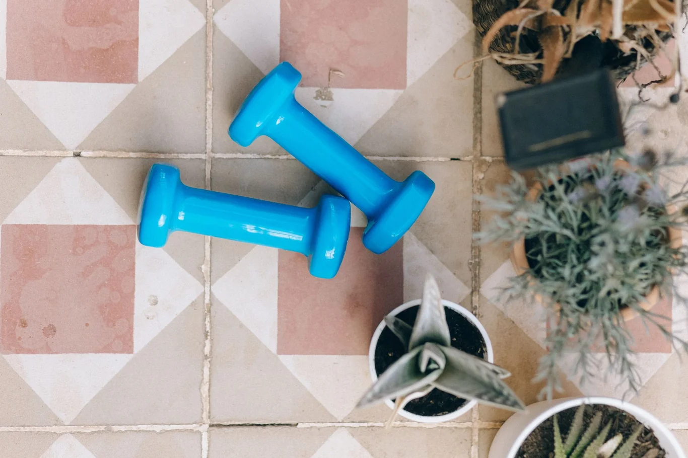 Two blue dumbbells on a tiled floor next to small potted plants in a home setting