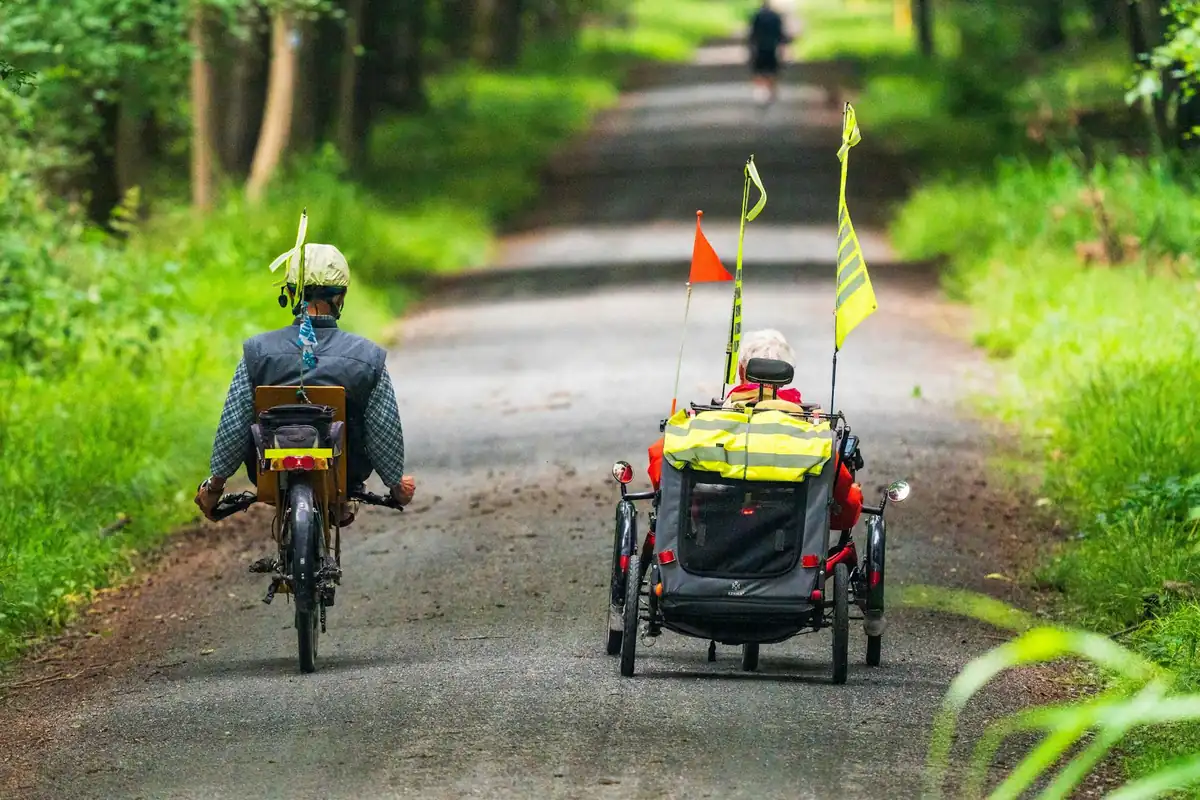 Two riders on recumbent trikes traveling along a shaded forest path