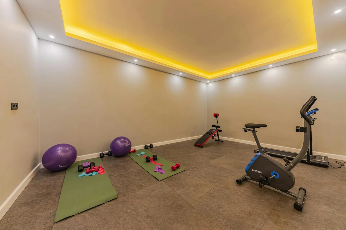 Upright stationary exercise bike in a home gym with yoga balls and dumbbells on the floor