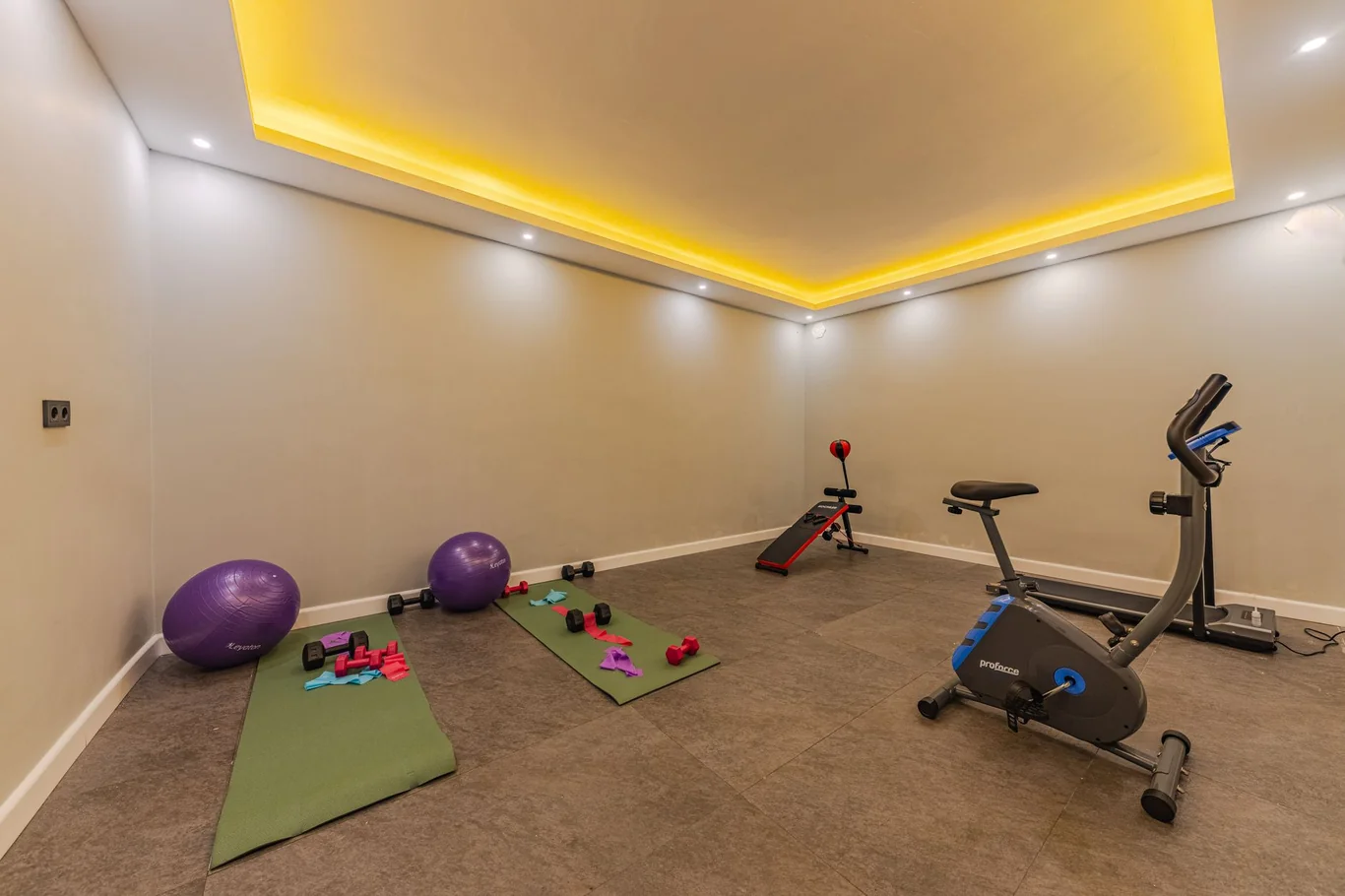 Home gym with an exercise bike, yoga mats, dumbbells and purple exercise balls