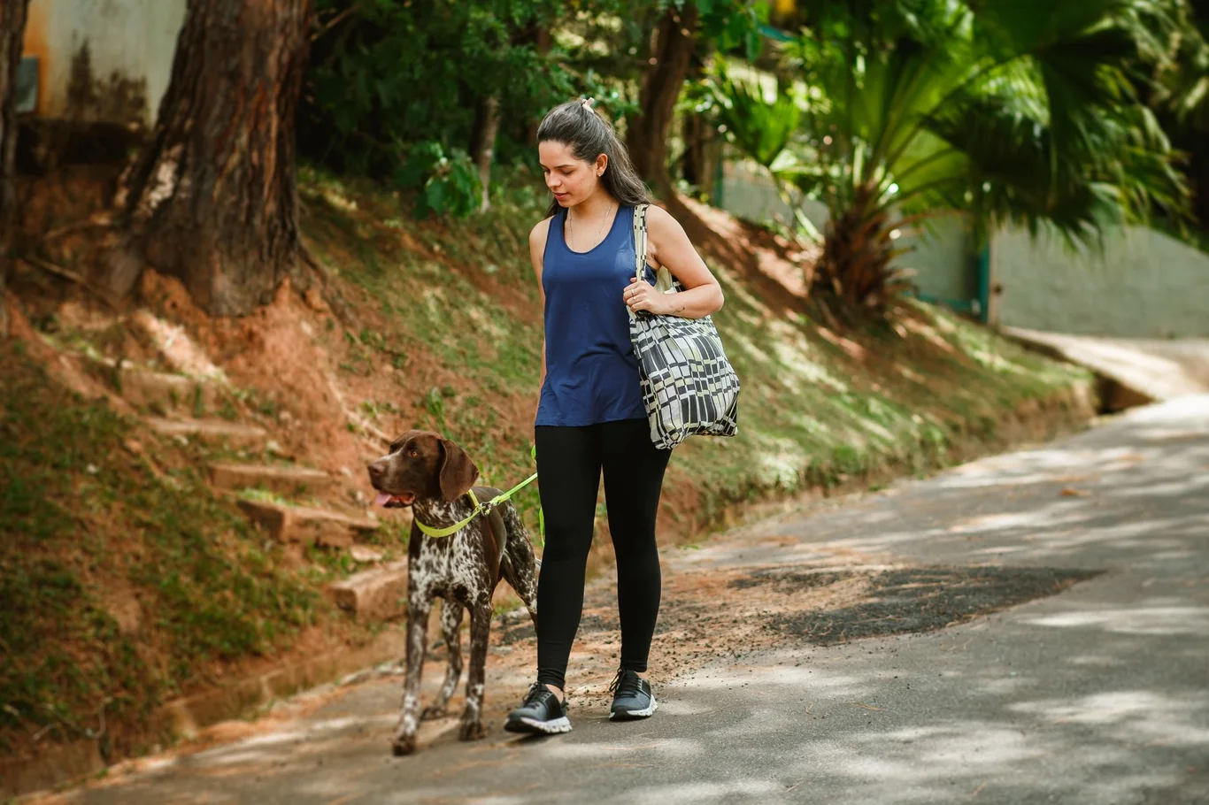 Woman walking a dog on a leash along a tree lined road