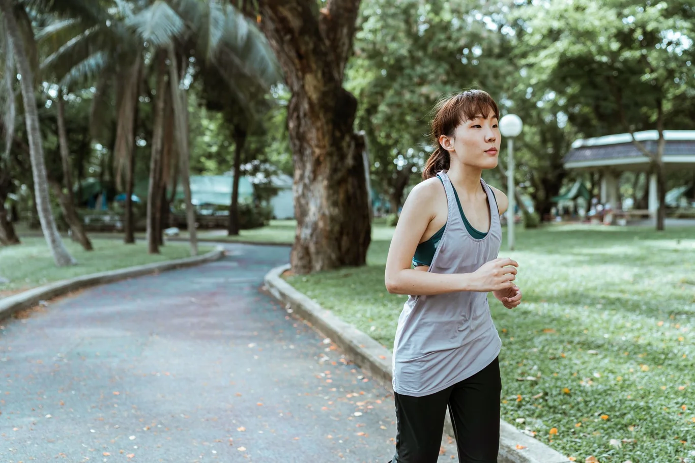 Woman jogging along a paved park path lined with palm trees and grass