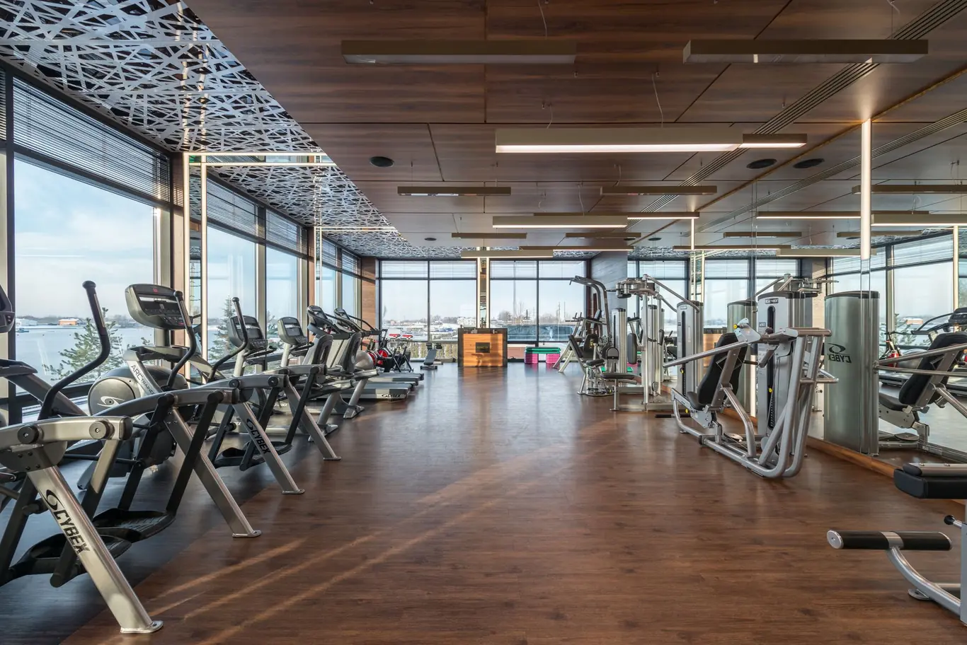 Rows of elliptical trainers beside floor-to-ceiling windows in a bright modern gym