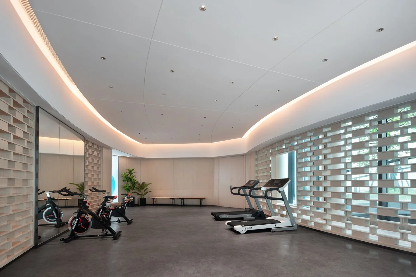 Modern gym with curved ceiling lighting, spin bikes in front and treadmills along the far wall