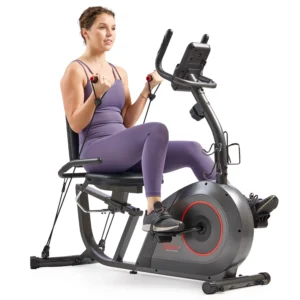 Sunny Health Smart Recumbent