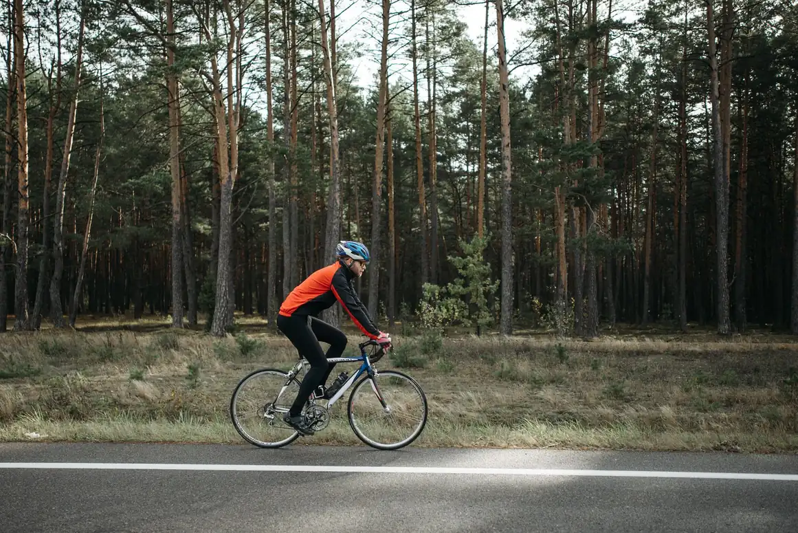 Cyclist in red jacket riding a road bike on a road through a pine forest