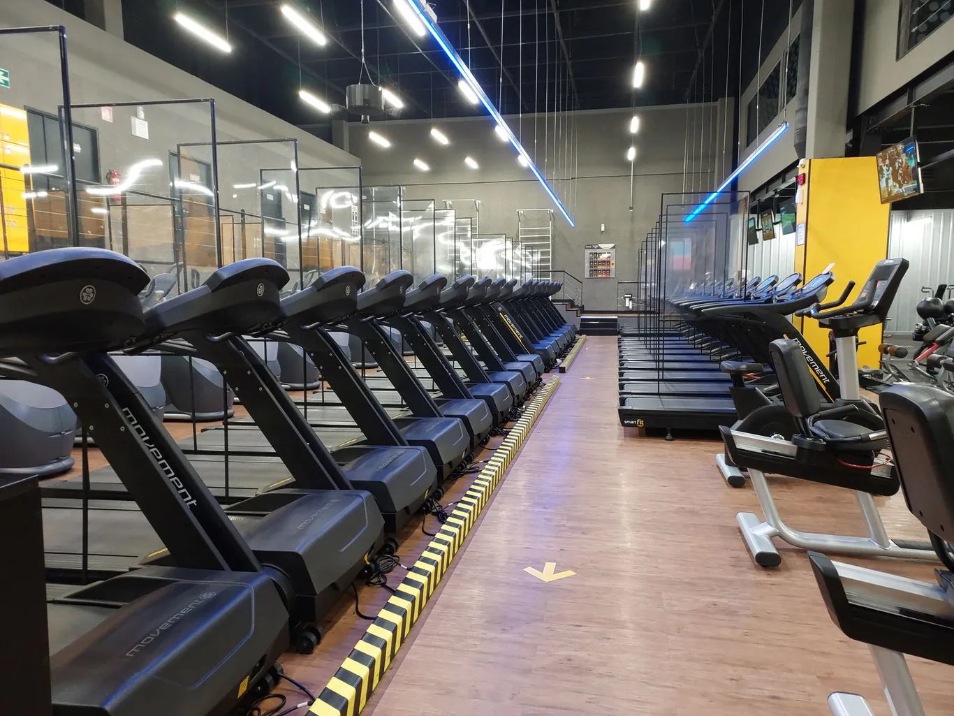 Rows of commercial treadmills lined up in a well-lit gym with wood-patterned flooring