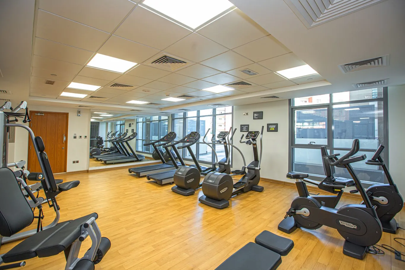 Commercial gym floor lined with treadmills, ellipticals, and stationary bikes near large windows