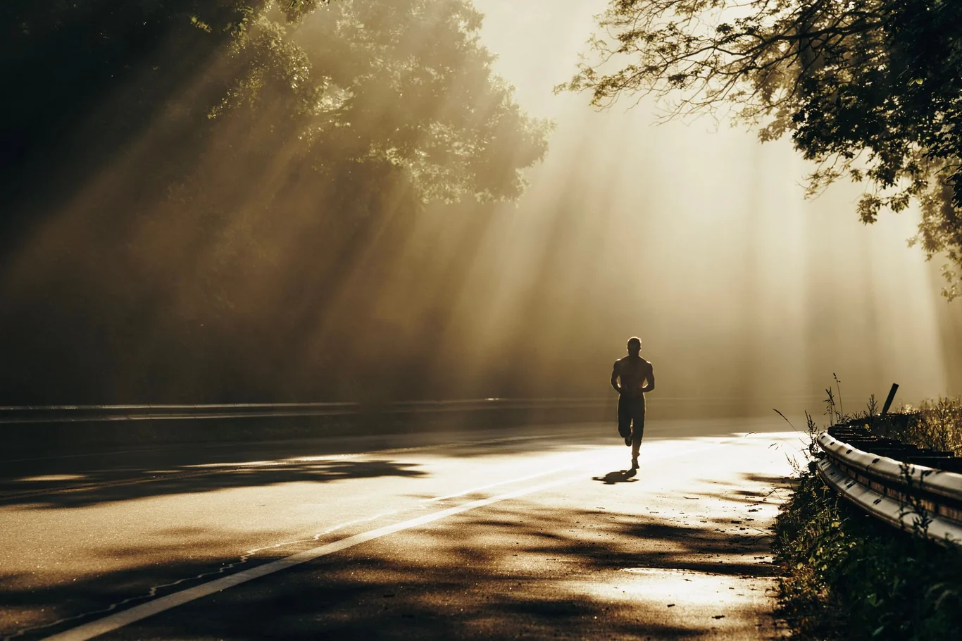 Runner silhouetted on a misty road with sunlight streaming through forest trees