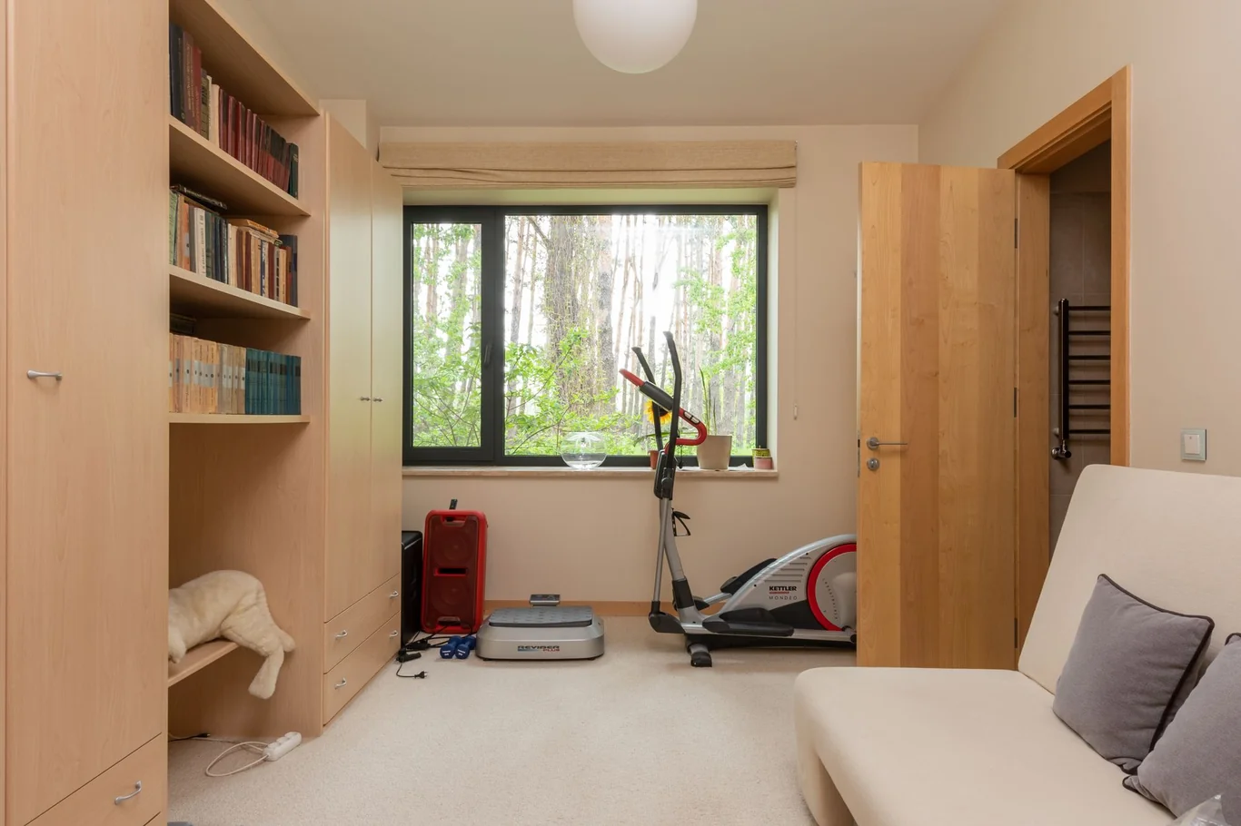 Compact elliptical trainer near a sunlit window in a home workout room